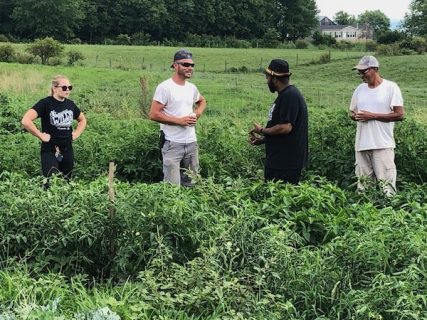 Regenerative Agriculture, Bio Char, Mt. Folly Farm, FAQ, Frequently Asked Questions, CBD, Whiskey, Beef, Climate-Smart Farming,