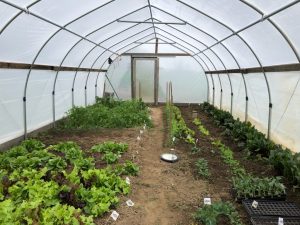 regenerative agriculture greenhouse on Mt. Folly Farm