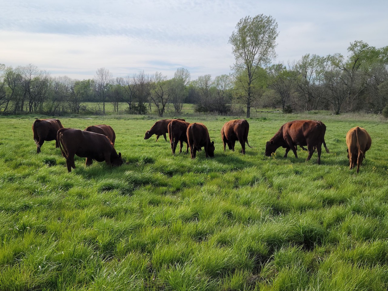 Mt. Folly Farm | Laura Freeman photo 13
