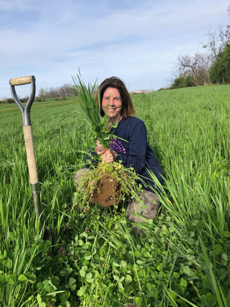 Laura Freeman of Mt. Folly Farm, Credible CBD Producers in Kentucky, Legality of CBD, How does CBD work?, Does CBD help with Pain?, World Soil Day,