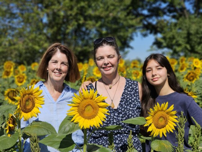 Mt. Folly Farm, Laura Freeman, Alice Melendez, Mt. Folly, Letter from Laura, Sunflowers, Sunflowers of Autumn,