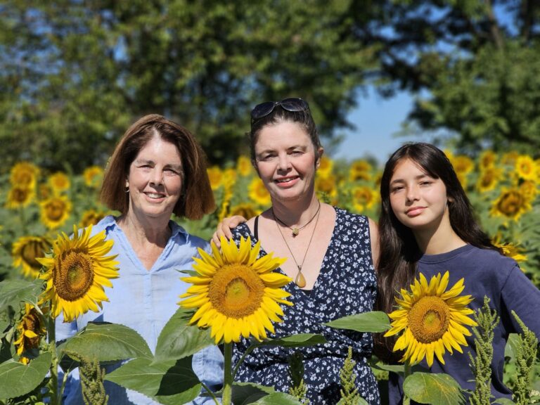 Mt. Folly Farm, Laura Freeman, Alice Melendez, Mt. Folly, Letter from Laura, Sunflowers, Sunflowers of Autumn,